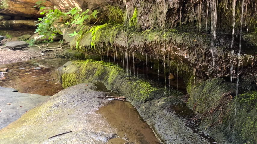 Water Trickling Over Mossy Sandstone Bluff at Burden Falls Wilderness. Water trickling over wet sandstone bluffs and mossy rock formations at Burden Falls Wilderness in Shawnee National Forest. Highlights green foliage, delicate water drops, and peaceful woodland scenery.