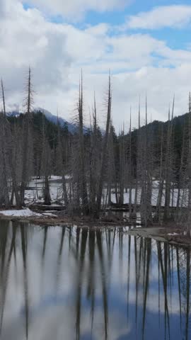 Reflections of Bare Trees in a Winter Lake with Snowy Mountains Under Cloudy Skies in British Columbia