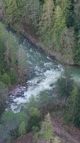 Aerial View of Emerald River Rapids Winding Through Lush Green Forest in British Columbia, Canada