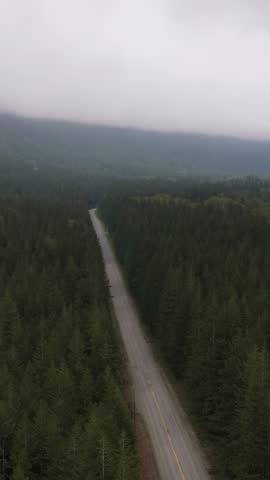 Aerial View of a Long, Straight Road Through a Dense Forest in Misty British Columbia, Canada