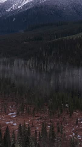 Stunning Winter Landscape with Misty Forest and Snow-Capped Mountains in British Columbia, Canada