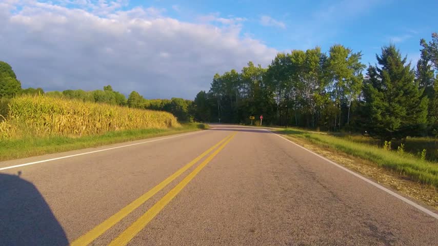 White-tailed deer doe and two fawns cross a rural road near a cornfield and wooded edge in Dunn County, Wisconsin during early fall.