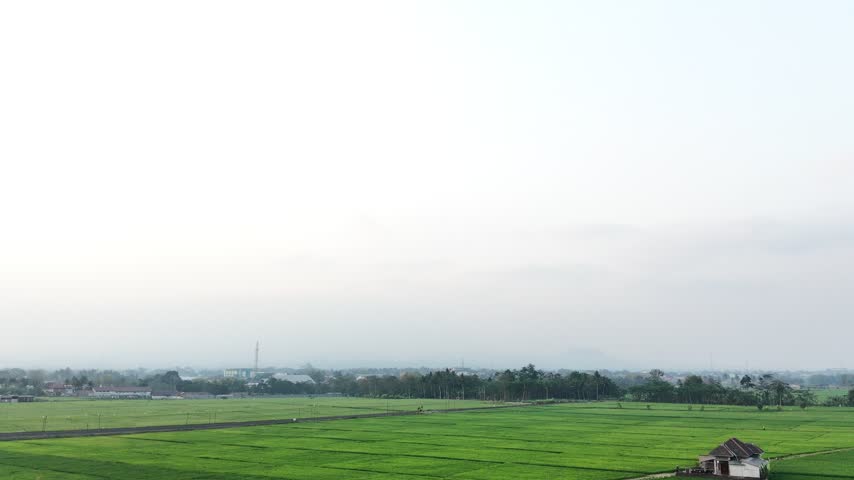 Scenic Aerial View of Green Paddy Fields with Railway Line and Farmer House