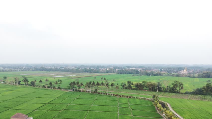 Scenic Aerial View of Green Paddy Fields with Railway Line and Farmer House