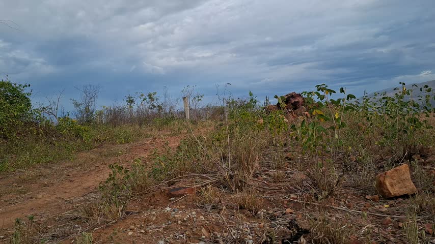 rustic high-altitude plot of land at sunset, featuring uneven terrain with scattered rocks, small dry branches, low native brush, and small trees, with a dramatic cloudy sky in the background during golden hour. Wide-angle shot, natural lighting, authentic countryside landscape.