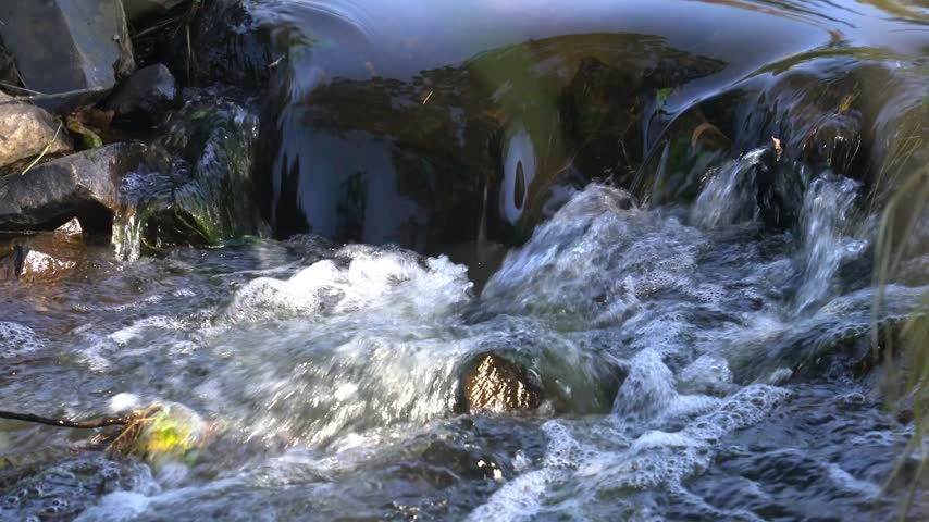 Peaceful Stream Flowing Through a Serene Natural Landscape