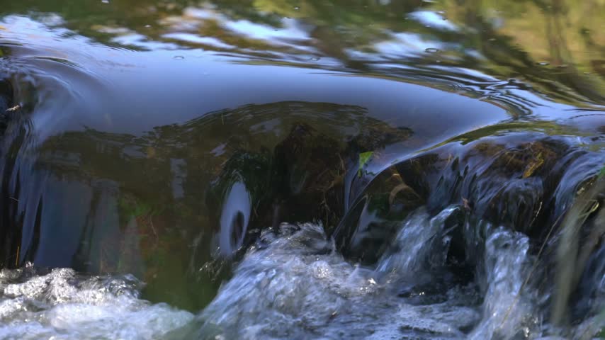 Peaceful Stream Flowing Through a Serene Natural Landscape