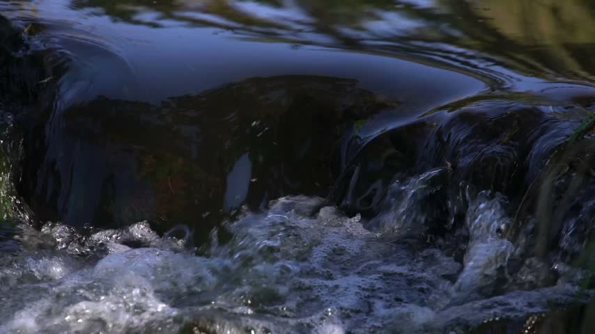 Slow Motion Stream Flow Through a Peaceful Natural Landscape