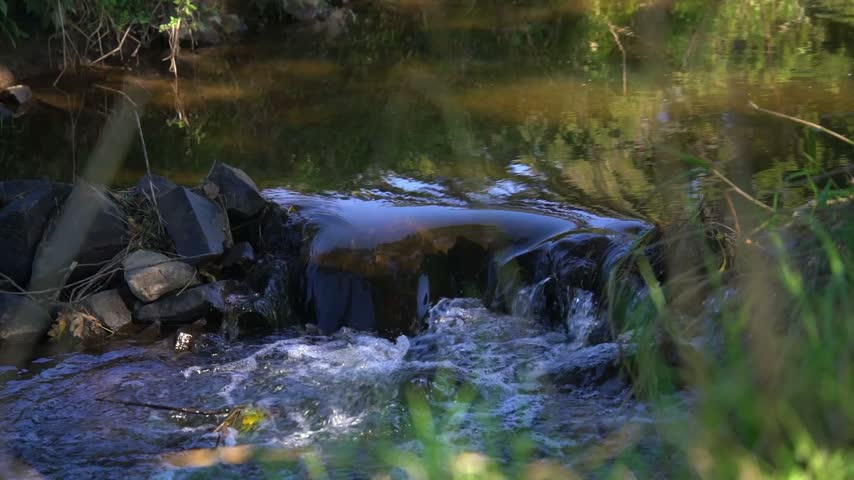 Slow Motion Stream Flow Through a Peaceful Natural Landscape