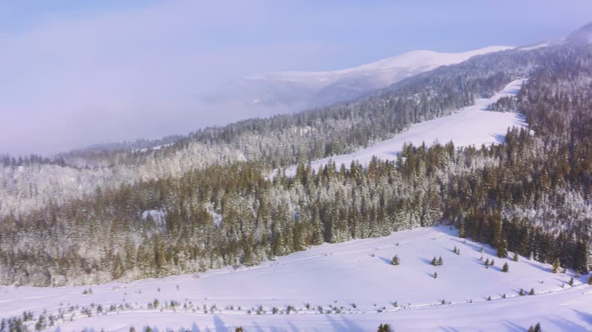 High snowy mountain covered with evergreen fir trees on a sunny cold day