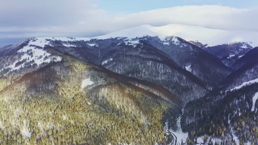 High snowy mountain covered with evergreen fir trees on a sunny cold day