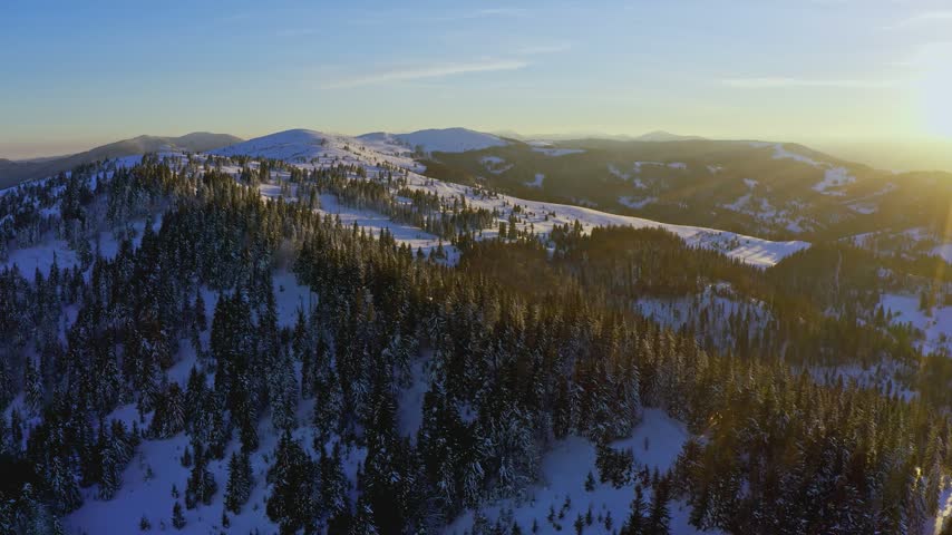 High snowy mountain covered with evergreen fir trees on a sunny cold day