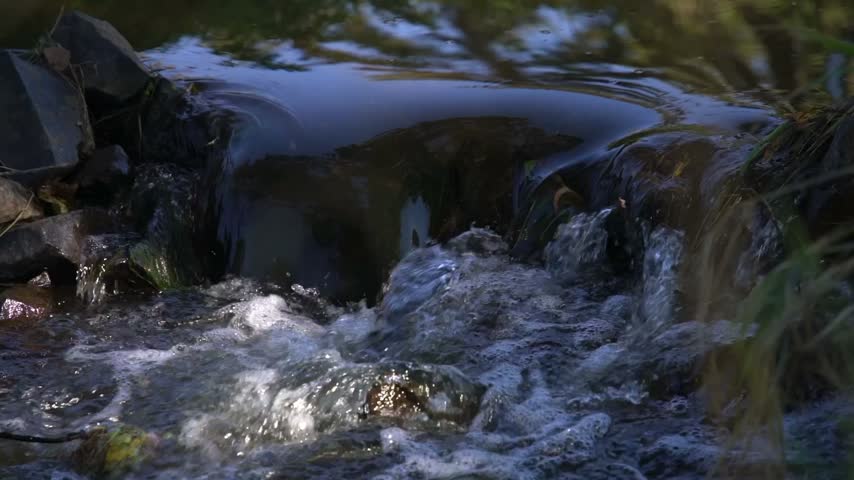 Slow Motion Stream Flow Through a Peaceful Natural Landscape