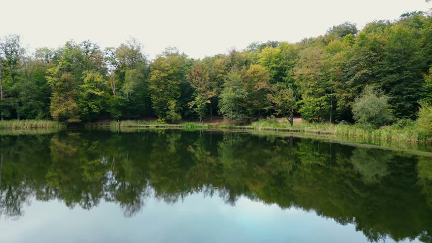 Aerial view of the lake in the forest