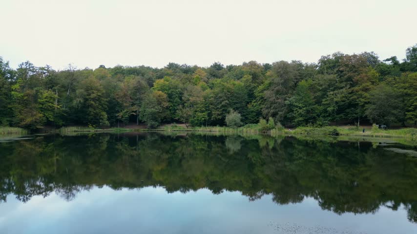 Aerial view of the lake in the forest