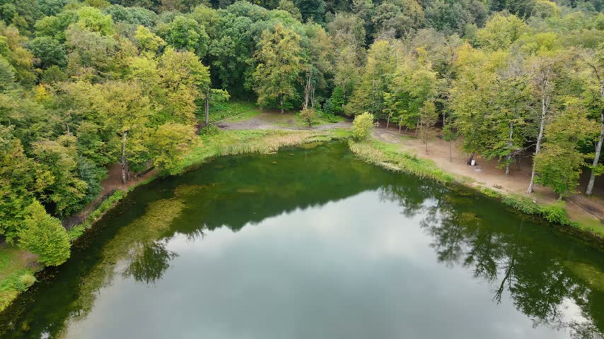 Aerial view of the lake in the forest