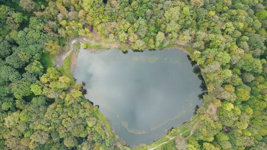 Aerial view of the lake in the forest