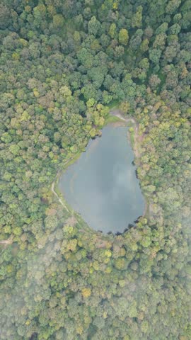 Aerial view of the lake in the forest