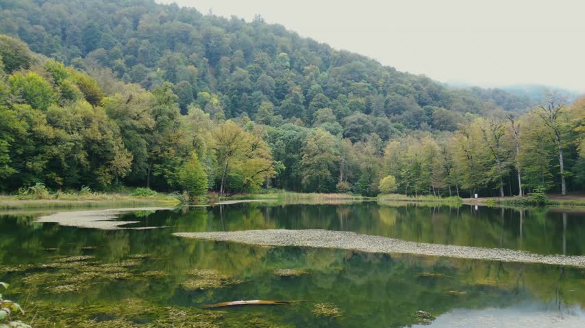 Aerial view of the lake in the forest