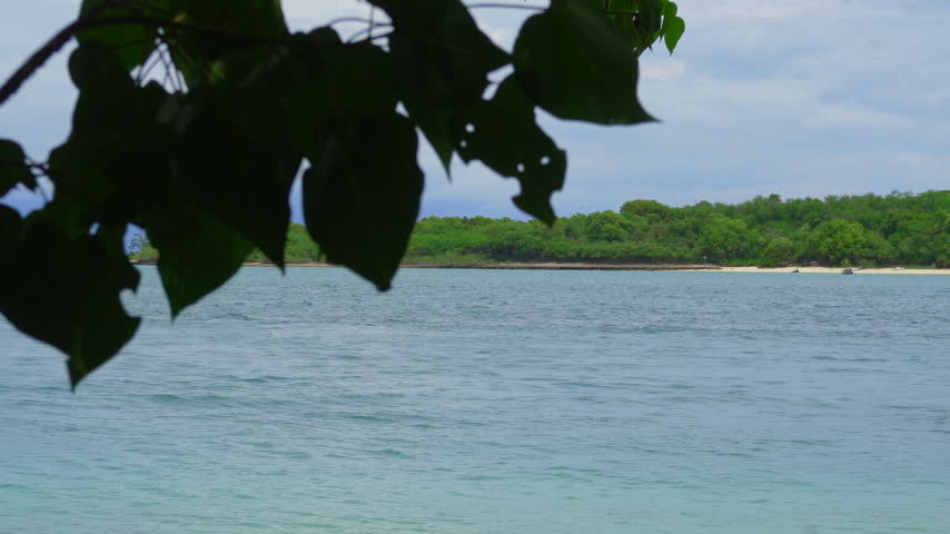 Tropical ocean view with green leaves foreground, clear water and coastal forest background