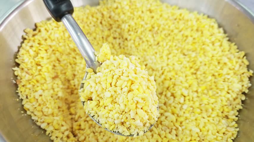 Scooping steamed yellow split mung beans with a metal ladle.