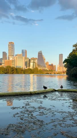 Two ducks perched on a floating barrier in the foreground with the downtown Austin skyline across Lady Bird Lake reflecting warm light