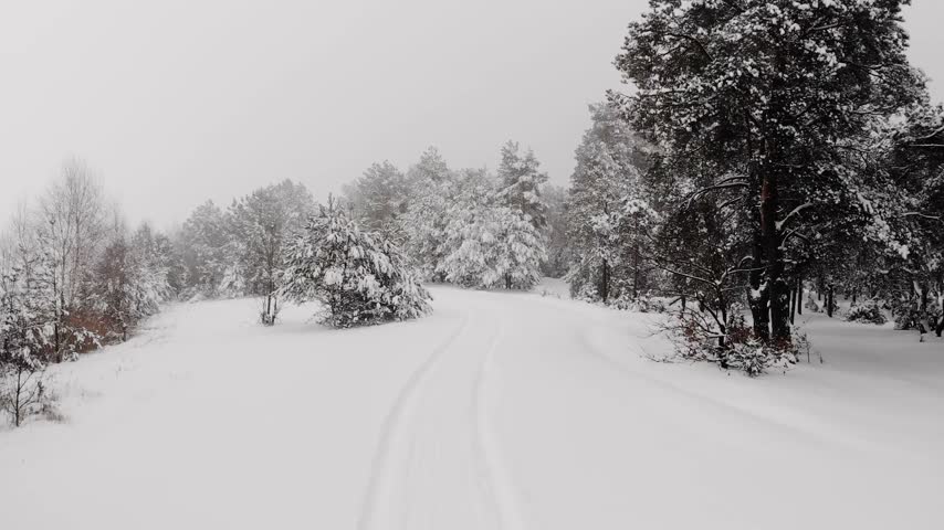 Horizontal clip of a wide, blanketed rural road curving gently through pine woodland, with a low, snow-laden bush standing out on the left and a wall of frosted evergreens lining the right. Two faint tyre tracks trail through the untouched white surface, hinting at the last vehicle that passed, while a flat, overcast sky merges almost seamlessly with the pale ground in the distance. Every branch and twig carries a thick coating, giving the treeline a soft, rounded, sculptural look, and the muted grey palette creates a calm, hushed, almost silent winter atmosphere.
The scene suits content about winter, cold climates, rural travel, countryside roads and quiet forest landscapes. It also works for stories on climate, forestry, ecology, road safety in bad weather, and seasonal change. Ideal for holiday and Christmas campaigns, travel promotions, insurance and road safety content, wellness and mindfulness pieces, documentaries, educational videos, presentations, social media stories, wallpapers, website headers and banners. The pale, muted palette conveys stillness, isolation, calm and quiet natural beauty. The wide open sky and road leave generous room for titles and logos, making it a versatile backdrop for winter-themed designs. Filmed outdoors in flat, diffused daylight with a handheld camera, it offers a soft, low-contrast tonal range typical of an overcast winter morning. Suitable for editorial, educational and commercial projects worldwide.