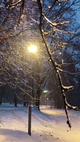 Snow falls over a forest park at dusk as a street lamp illuminates frozen branches. Winter weather and peaceful seasonal nature concept.