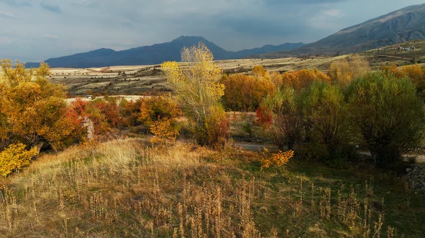 Aerial view of autumn forest in full color