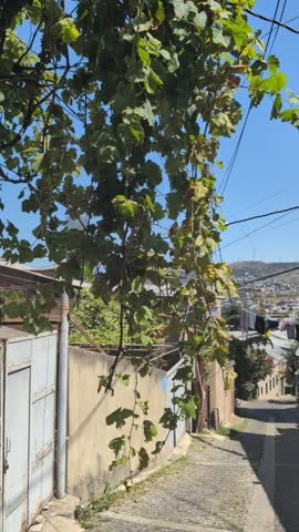 Narrow, paved alleyway descending a hill under a bright blue sky, Georgia