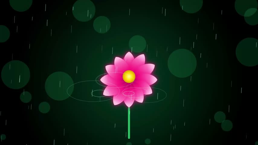 A vibrant glowing pink flower with a yellow center set against a dark rainy background with soft bokeh circles and water ripples.