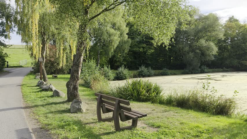 ​A peaceful evening scene at a serene lake with gentle water flowing sounds and singing birds in nature