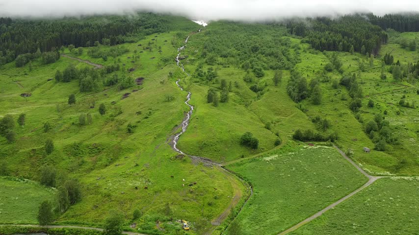 Winding stream flowing down a lush green hillside, surrounded by dense forest and partially obscured by low-hanging clouds at the top, Norway