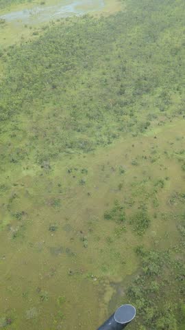 Vast, flat landscape of green and brown marshland under an overcast sky, Australia