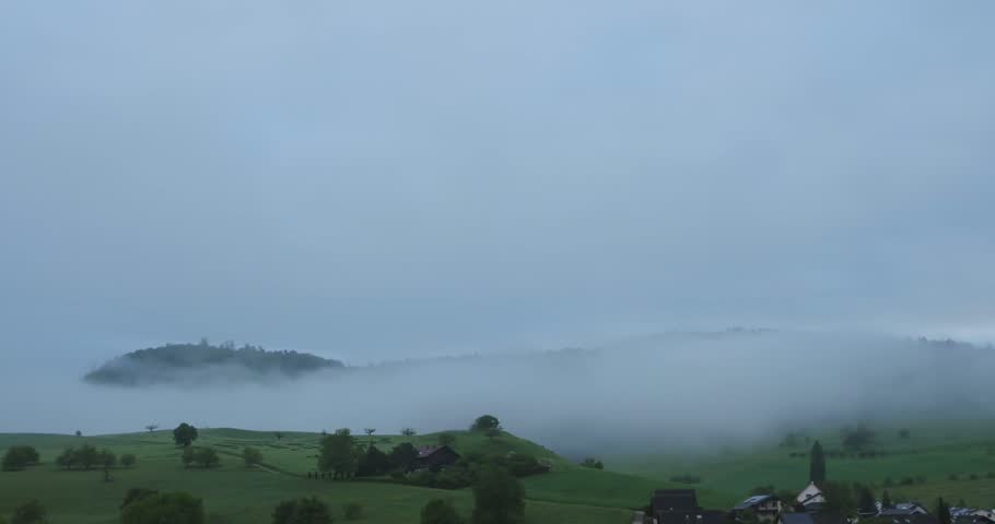 Misty Fog Rolling Through Dense Green Forest Landscape.
