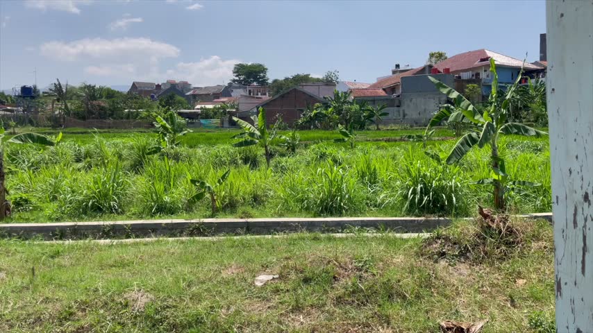 Rural landscape with green grass field and village houses   