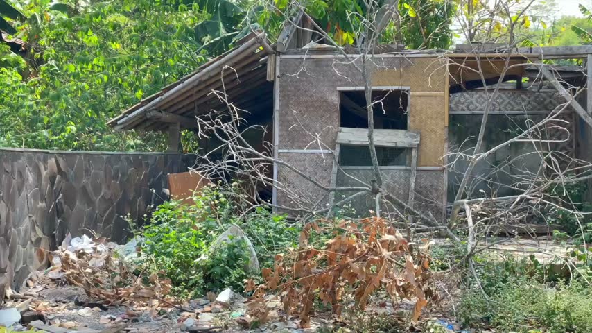 Old abandoned house with dry branches in rural area   