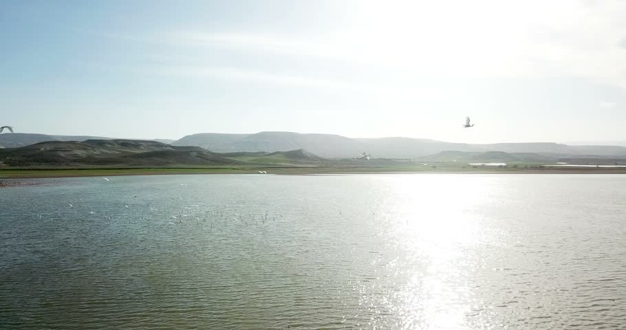 Birds Flying Over a Lake at Sunset with Calm Water and Mountain Landscape
