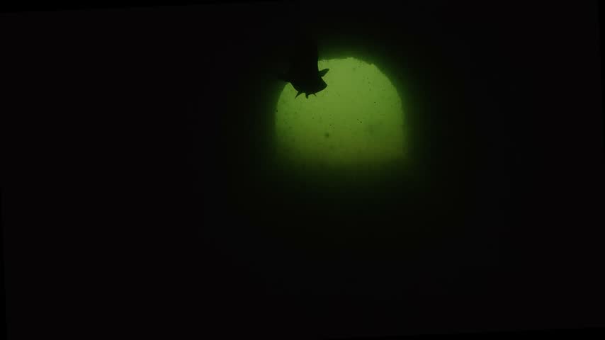 A wels catfish leaves a submerged tunnel and appears as a silhouette. The camera looks from inside the passage toward the semicircular arch of the opening.