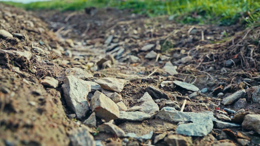 Shallow Stream Flows Across Rocky Ground, Winding Between Stones. Close-up Shot