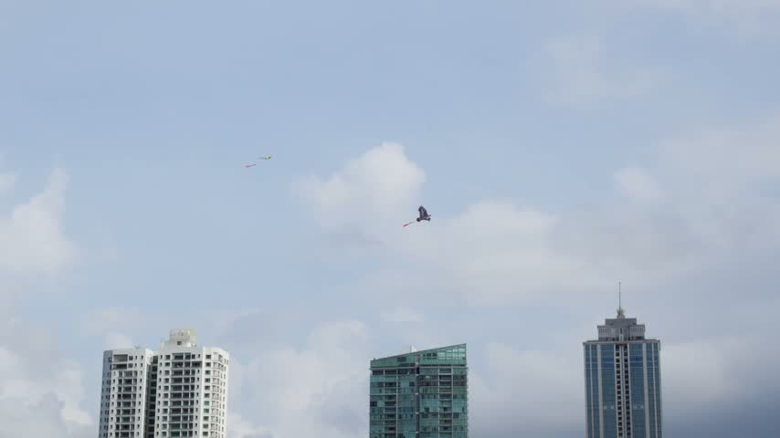 Bird Kite Flying High in Colombo Sri Lanka