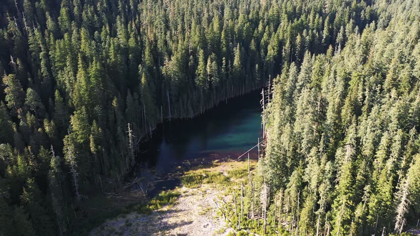 4K aerial drone footage of Blue Lake surrounded by dense evergreen forest in the Mount St. Helens area of Washington, USA. Clear blue and green water is surrounded by tall conifer trees, with numerous dead and dried tree trunks standing in and along the lake. Scenic remote forest lake in the Pacific Northwest creates a peaceful natural background useful for wilderness, environment, woodland, freshwater, outdoor recreation, travel, nature, evergreen forest ecosystem, scenic landscape and atmospheric B-roll themes
