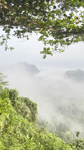 Sea of Clouds Below the Cliff Edge | Breathtaking Sunrise Above the Clouds