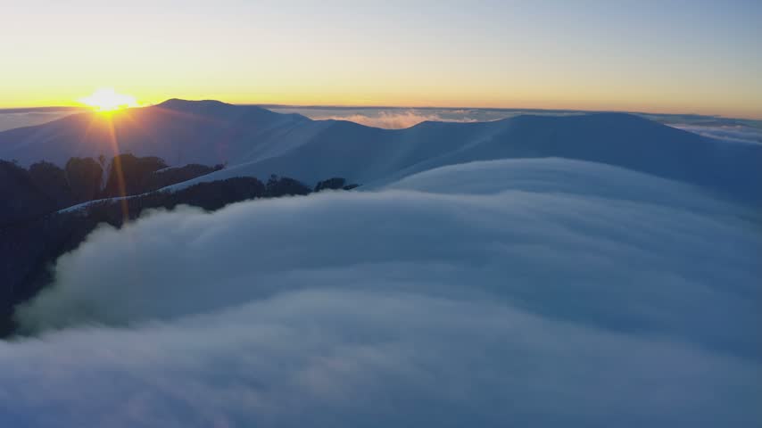 Cloud waves gently and slowly flow over the tops of snow-capped mountains covered with spruce forests at a cold sunset