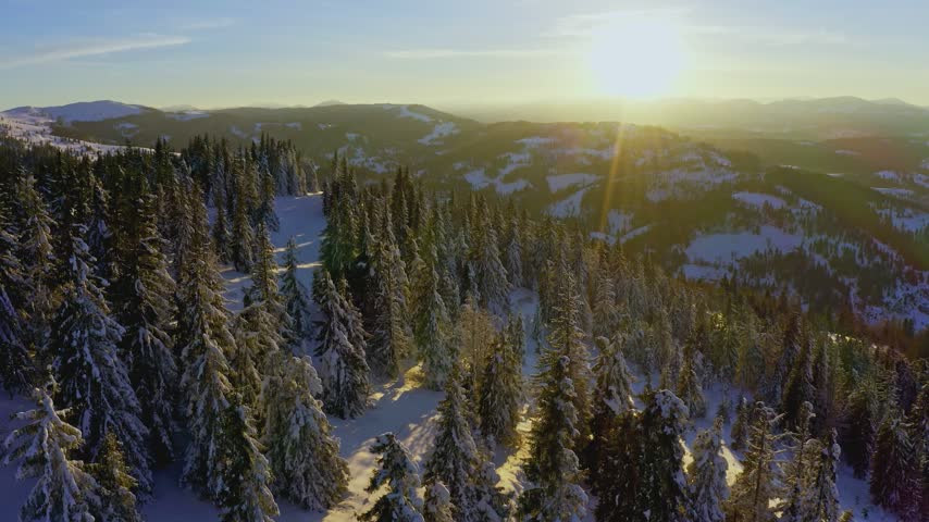 High snowy mountain covered with evergreen fir trees on a sunny cold day