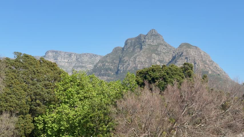 Devils Peak Cape Town, South Africa on a summers day.