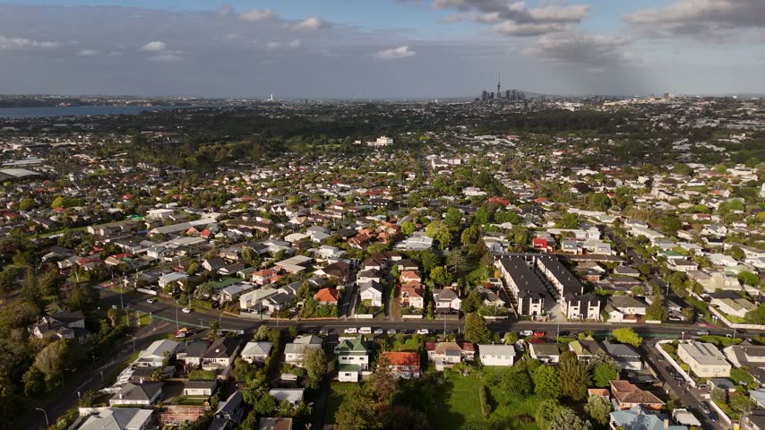 Dense suburban rooftops spread across Mount Albert toward distant Auckland city skyline, tree-lined road cuts through neighborhood beside sparkling calm harbor waters. Aerial drone wide shot