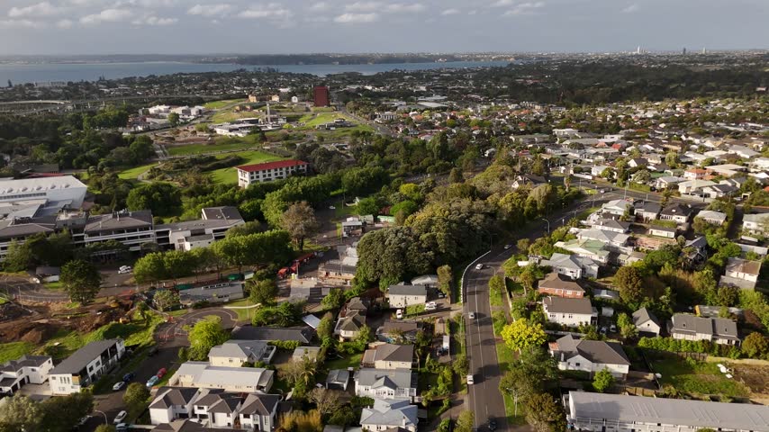 Tree-lined road with visible car traffic curves through residential neighborhood in Mount Albert, Auckland, houses spread toward distant harbor and hazy city skyline. Aerial drone flyover shot