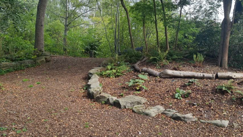 Garden path lined with large rocks and covered with yellow fallen leaves, surrounded by green trees moving in the wind