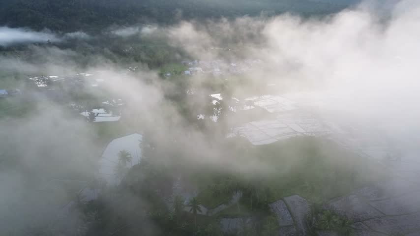 Aerial view of morning mist and thick fog rolling over lush green landscape